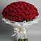 Букет 101 Красная роза Блэк Мэджик в Речицы