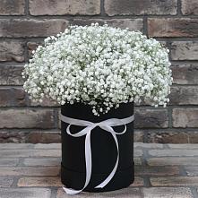 Цветочная композиция из Гипсофила в шляпной коробке #REPLACE_PRED# Речицы