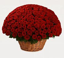 Премиум букет из: Розы в Речицы